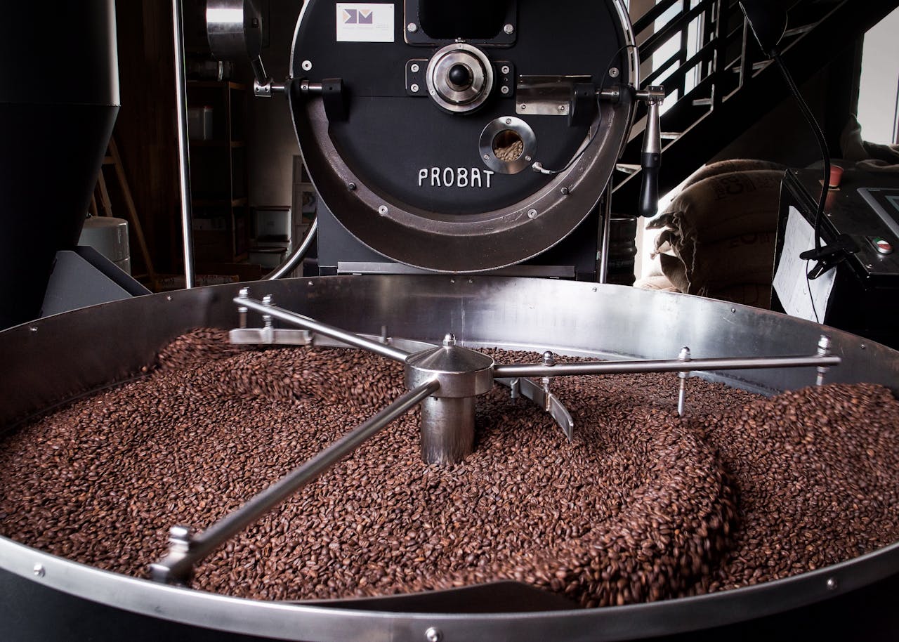 A detailed image of coffee beans cooling in a Probat roasting machine indoors.